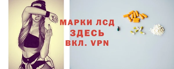 стафф Бородино