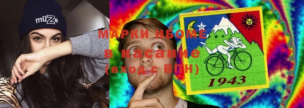 стафф Бородино