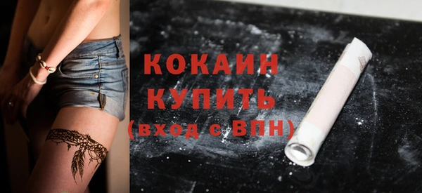 стафф Бородино