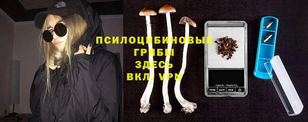 стафф Бородино